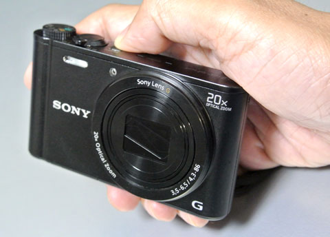 DSC-WX300